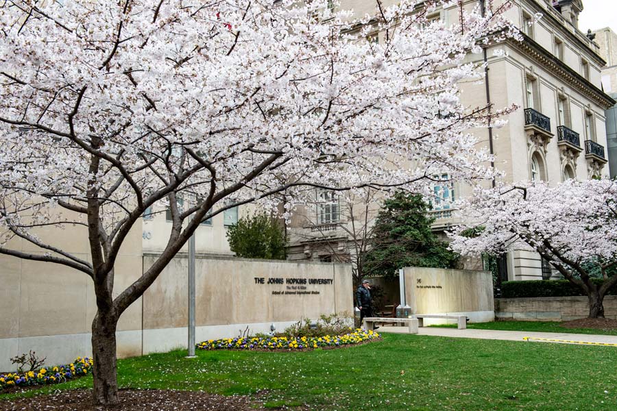 Nitze Building at Johns Hopkins SAIS Washington DC in cherry blossom season.