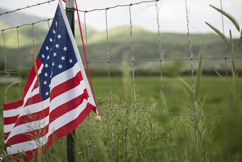 American flag on fence