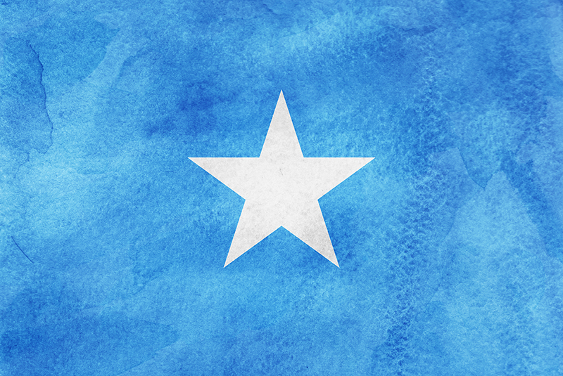 Flag of Somalia 